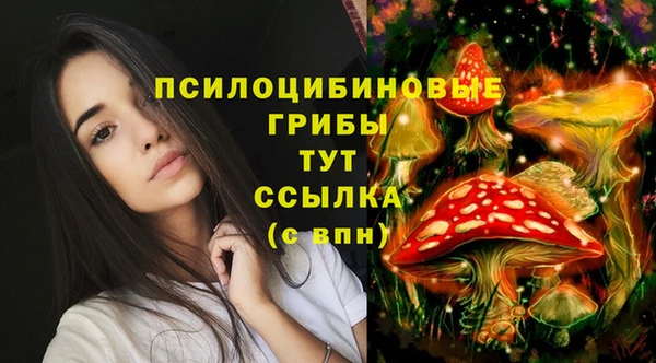 спиды Абинск