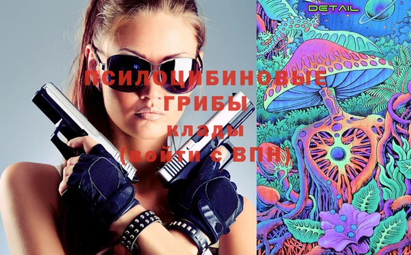 стаф Абдулино