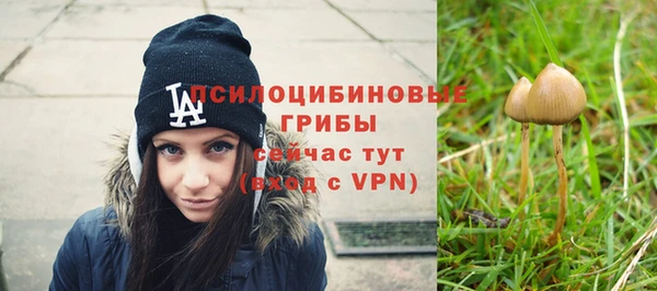 спиды Абинск