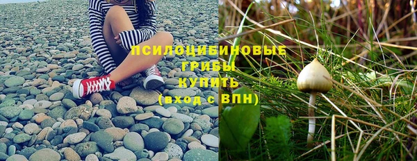 стаф Абдулино