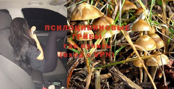 герыч Абаза